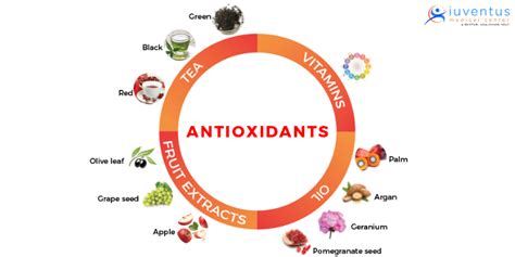 Do Antioxidants Boost Metabolism At Francisco Carson Blog