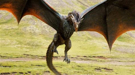 5 Ways Dragons Exist