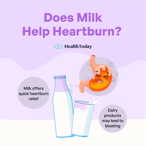 Does Milk Help Heartburn The Science Behind It Yaafur