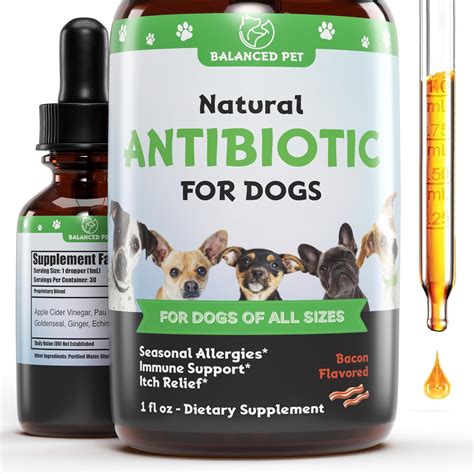 Dog Ear Yeast Infection Antibiotics