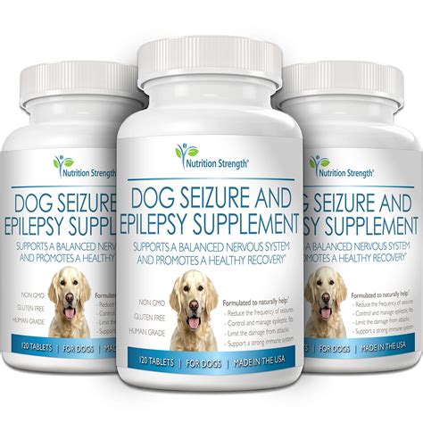 Dog Seizure Medication