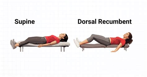 5 Ways Dorsal Recumbent Position Helps