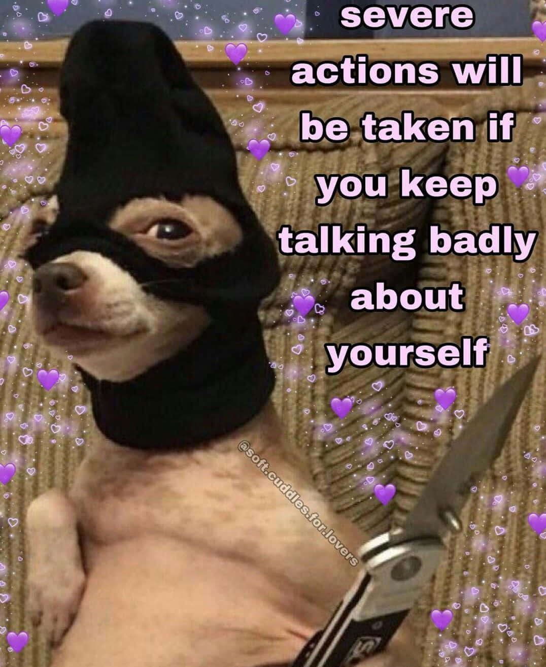 Download The Power Of Funny Meme Profile Pictures Wallpapers Com