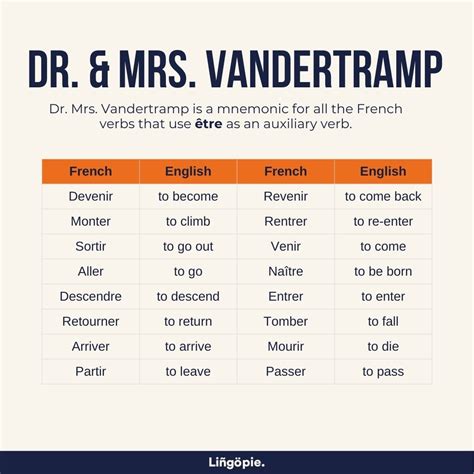 Dr And Ms Vandertramp Level 2 French Grammar