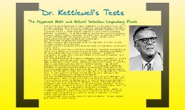 Dr Kettlewell S Tests By Jacob Steinfeld On Prezi