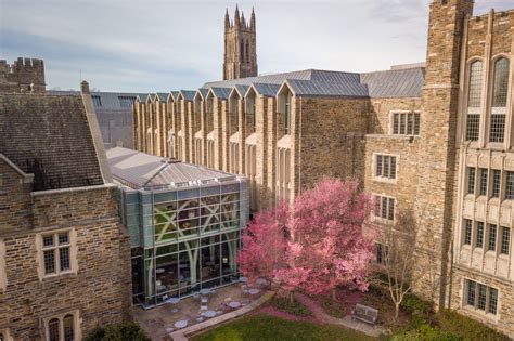 5 Ways Duke Library Helps