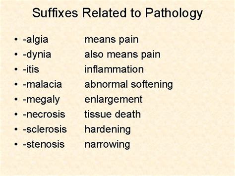 Dynia Medical Term Explained