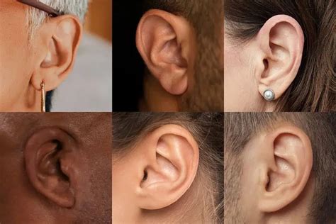 5 Ways Ears