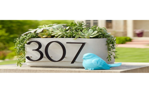 Easy Weight Conversion Pounds To Kilograms Back Quick Guide