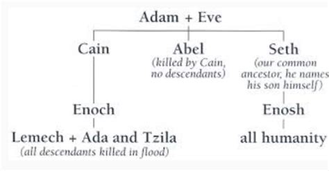 Echoes Of Eden Genealogical Developments Of The Lines Of Cain And Seth