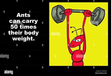 Education Illustration Of An Ant Lifting A Dumbbell Ants Can Carry 50