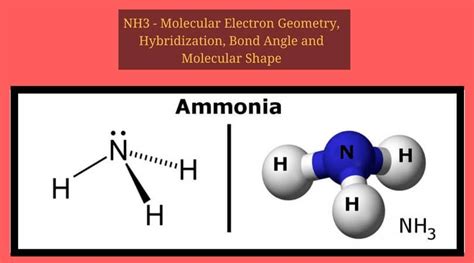 NH3 Electron Geometry Explained