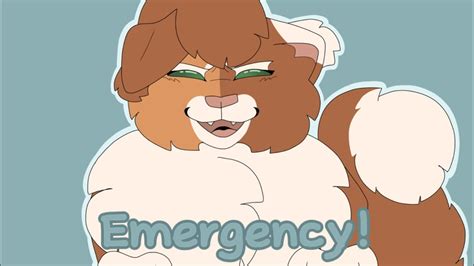 Emergency Paging Dr Beat Animation Meme Warrior Cat Ocs Youtube