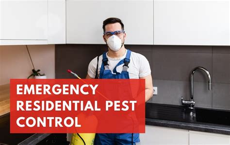 Emergency Pest Control
