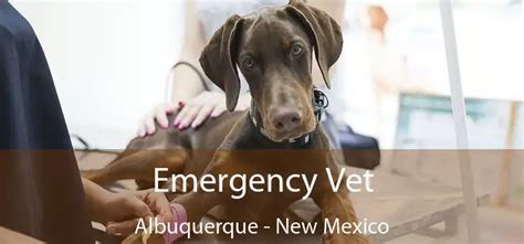 Emergency Vet Albuquerque