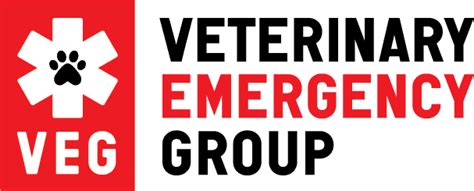 Emergency Vet In Brookhaven Ga Veterinary Emergency Group