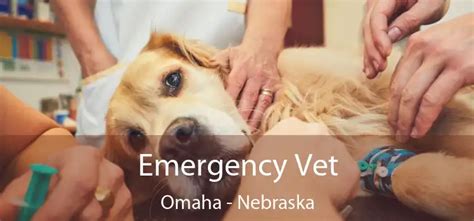 Emergency Vet Omaha