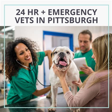 Emergency Vet Pittsburgh