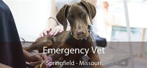 Emergency Vet Springfield Mo
