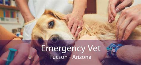 Emergency Vet Tucson