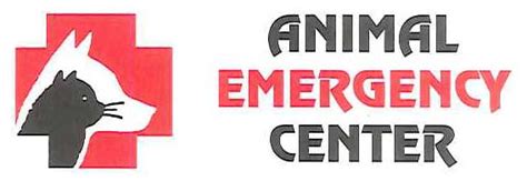 Emergency Veterinarian In Collinsville Il Animal Emergency Center
