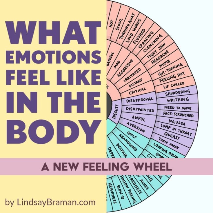 Emotion Sensation Feeling Wheel Handout By Lindsay Braman Feelings