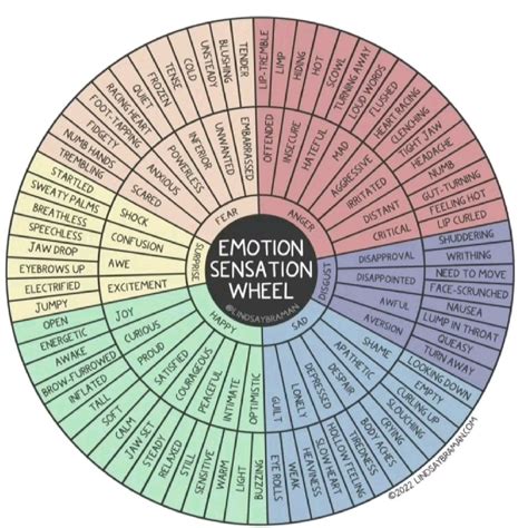 Emotion Sensation Wheel