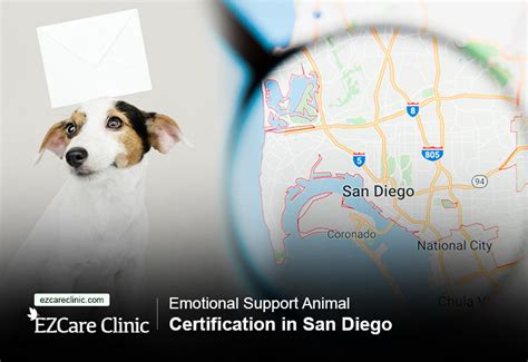 Emotional Support Animal Certification In San Diego Ezcare Clinic