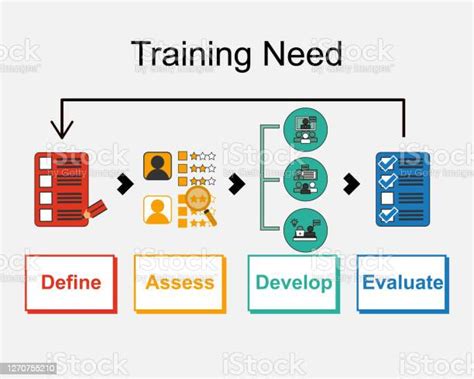Employee Training Need Analysis Vector Stock Vector Royalty Free