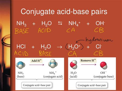 Enter The Conjugate Base For Each Acid