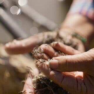 Environmental Science Technology Journal Natural Sorbents In Oil