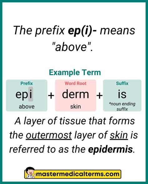 Epi Medical Term Prefix Mnemonic Meaning Definition Terminology Min
