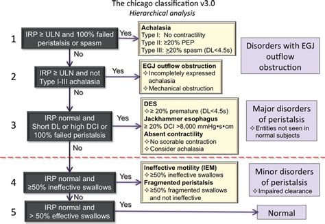 Esophageal Motility Disorders In Chicago Classification V3 0