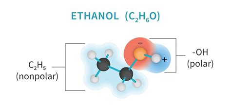 Ethanol Polar Or Nonpolar Keelnreilly