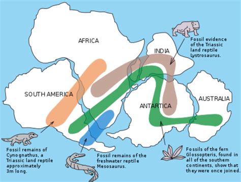 Evidence Of Sea Floor Spreading And Pangaea