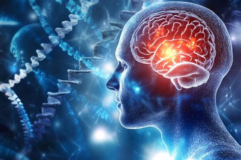 Evidence Showing The Loosening Of Associations Found In Schizophrenia