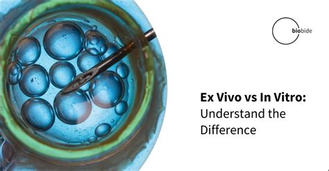 Ex Vivo Vs In Vitro Understand The Difference