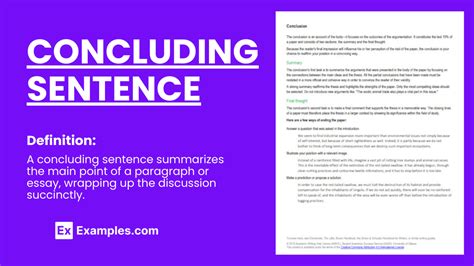 5 Concluding Sentence Examples