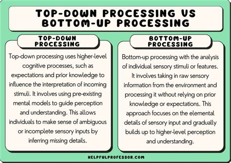 Explain The Difference Between Bottom Up And Top Down Processing