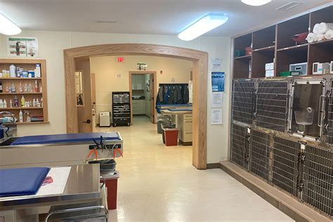 Explore Stack Vet In Syracuse Stack Veterinary Hospital