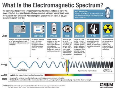 Facts About Microwaves Em Spectrum At Sarah Dobell Blog