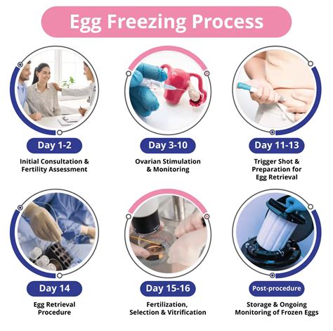 Facts You Need To Know About Egg Freezing Alpha Ivf Fertility Center