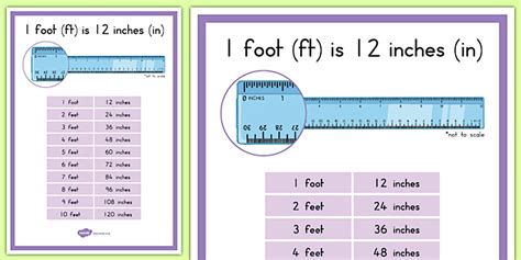 Feet And Inches Poster Professor Feito Twinkl