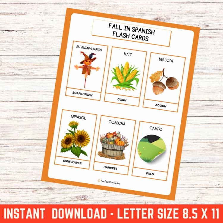 Fell in Spanish Translation