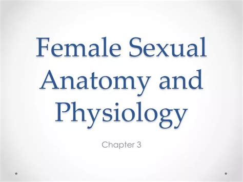 Female Sexual Anatomy Physiology Ppt Download