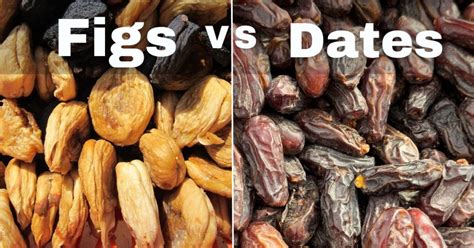 Figs Vs Dates Which One Should You Eat And Grow Dates Fruit