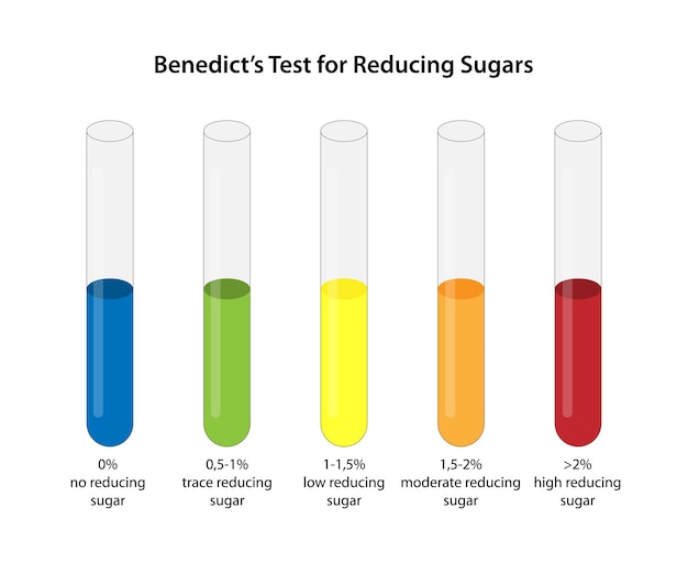 Figure 2 Benedict Reaction With Reducing Sugars Cicada Shells As