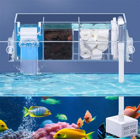 5 Fish Tank Filter Tips