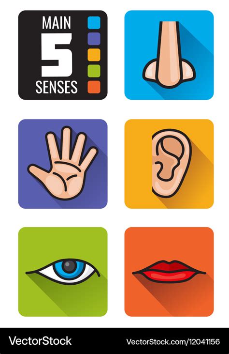 Five Senses Nose Hand Mouth Eye Ear Royalty Free Vector