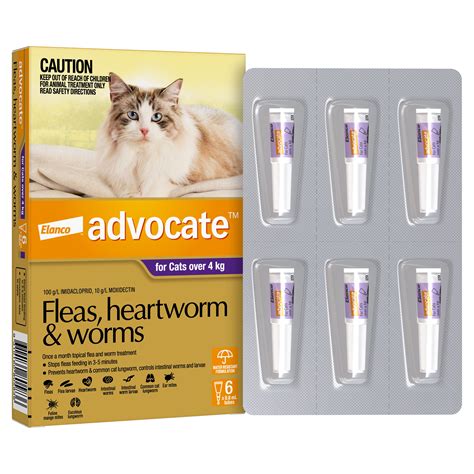 Flea And Worm Treatment For Cats Uk